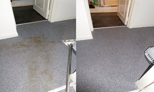 stain removal