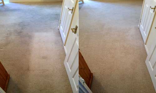 wool carpet cleaning